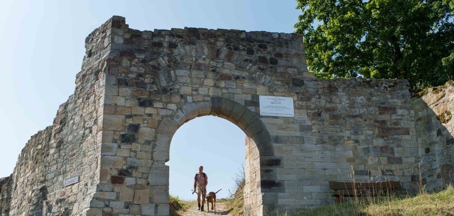 Frau mit Hund wandert aus Torbogen der Obernburg. 
