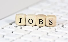 Jobs Jobs