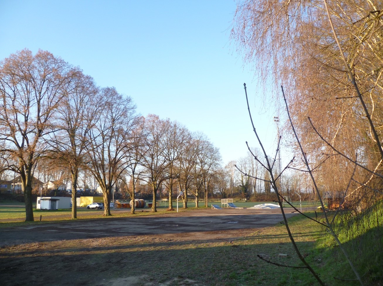 Blick auf den Alten Sportplatz, Asphaltfläche und Bäume. 