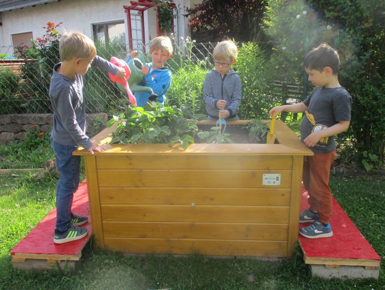 Kinder der Gudensberger Kitas bei der Pflanzenpflege am Hochbeet. 