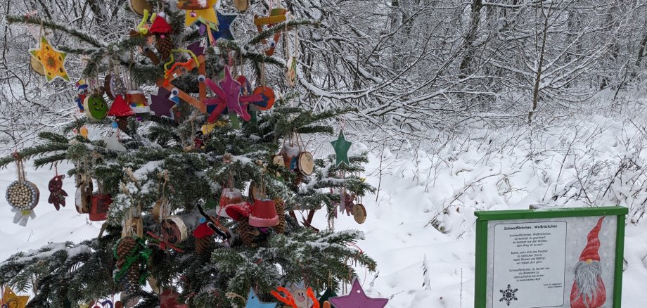 Verschneiter, geschmückter Baum mit Schild im Wald
