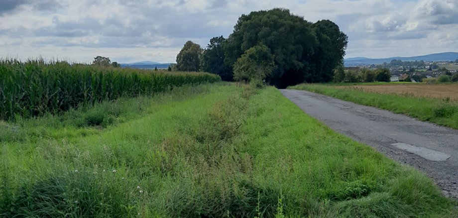 Gräben an Feldweg