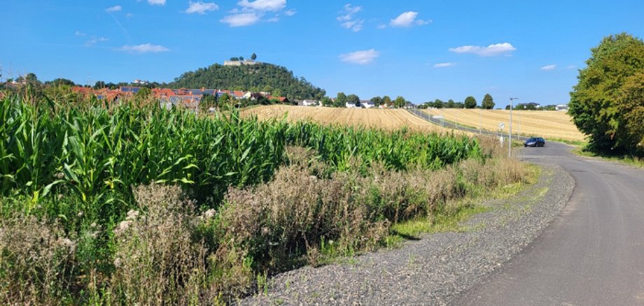 Straße am Feld am Rand von Gudensberg