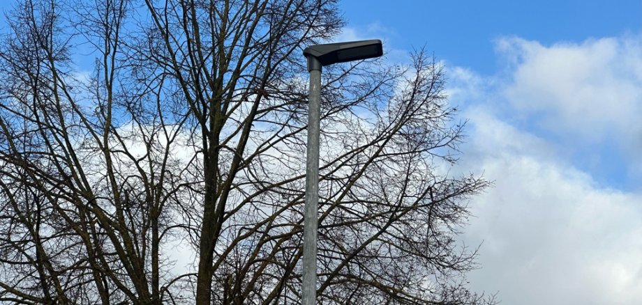 Straßenlaterne vor Baum