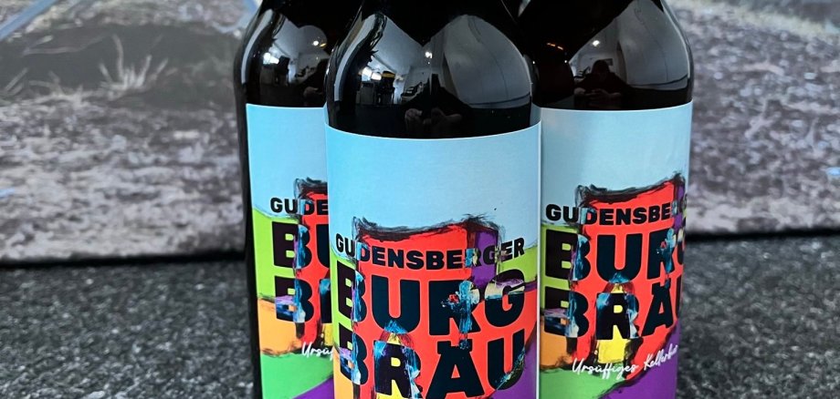 Bierflaschen im Viererträger