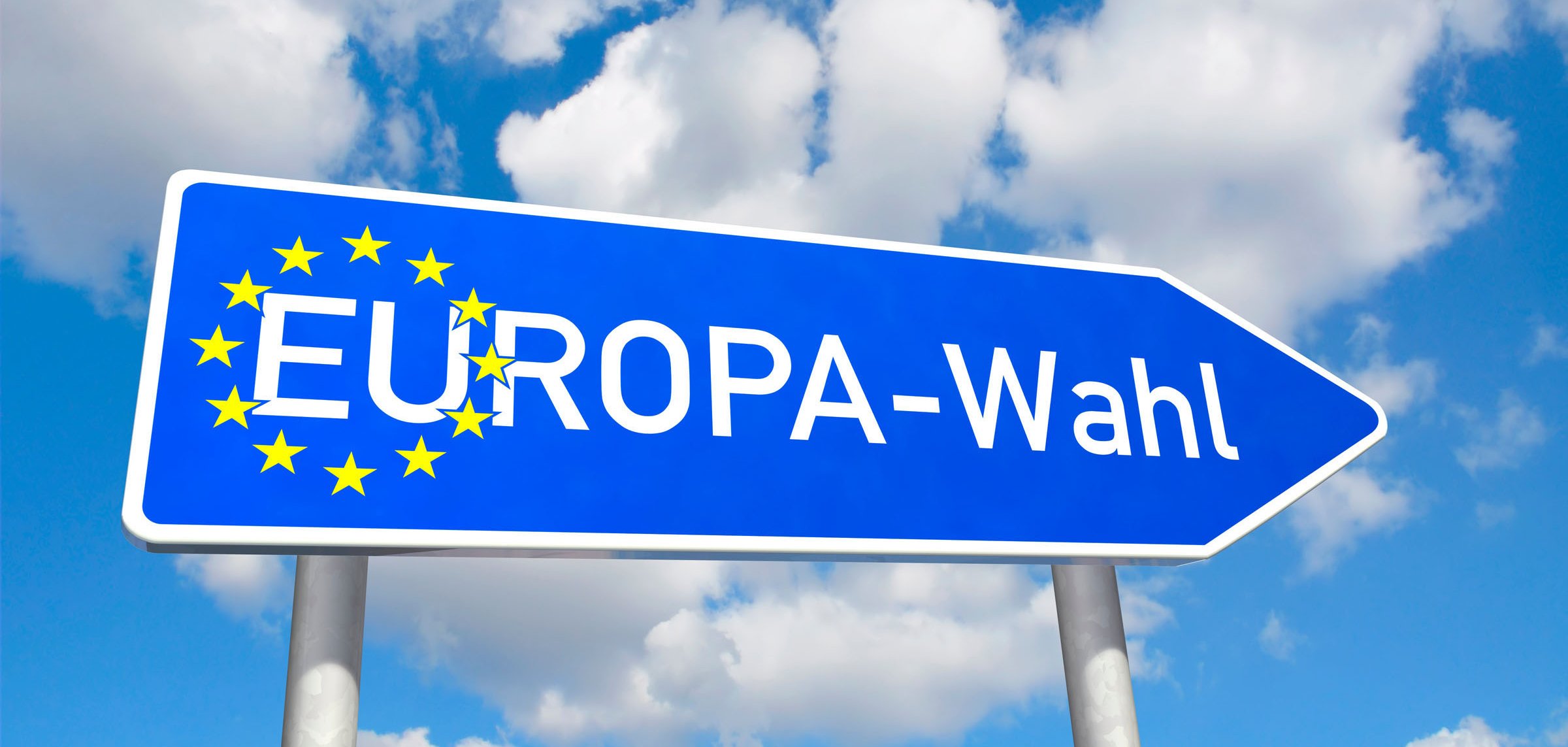 Wegweiser Europawahl 2014