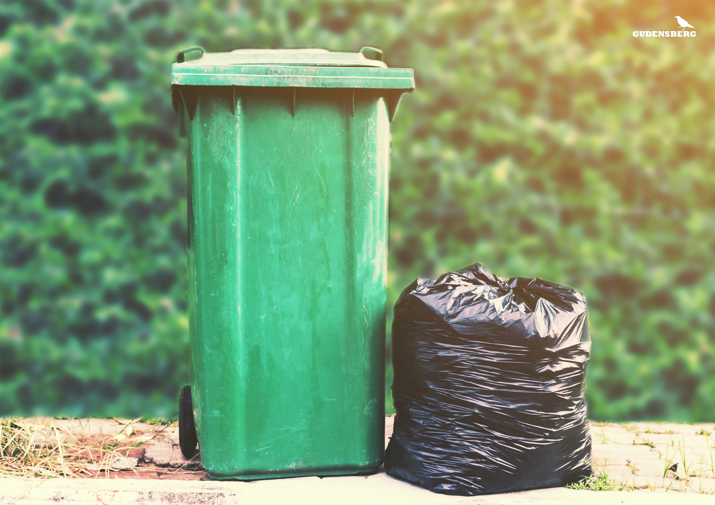 Mülltonne und Müllsack daneben