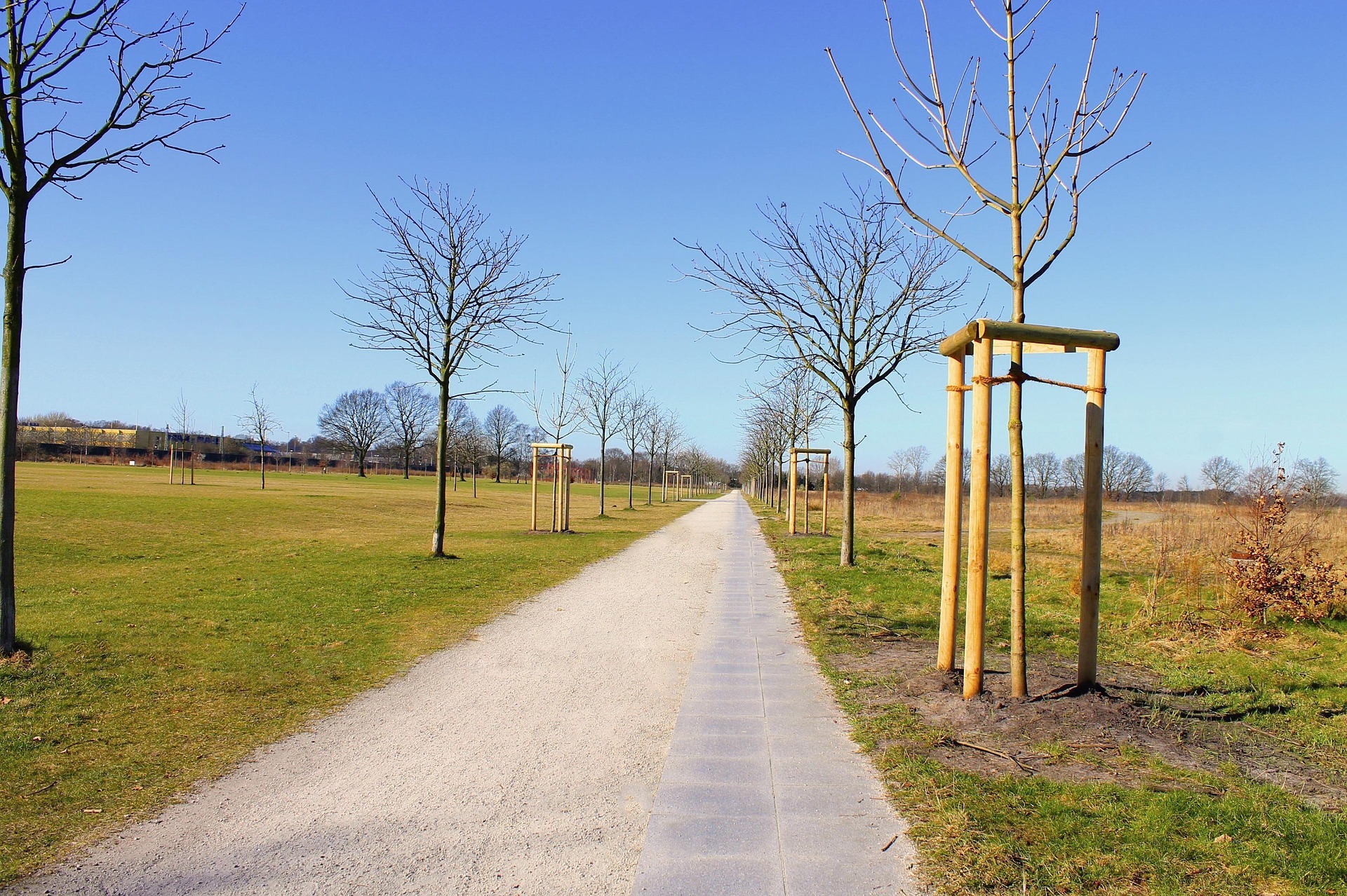 Frisch gepflanzte Obstbäume